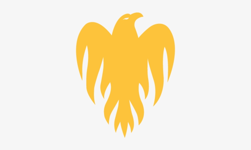 Wellington Firebirds - Wellington Firebirds Logo, transparent png download