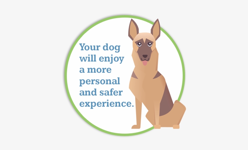Your Dog Will Enjoy The Temperature Controlled Indoor - German Shepherd, transparent png download