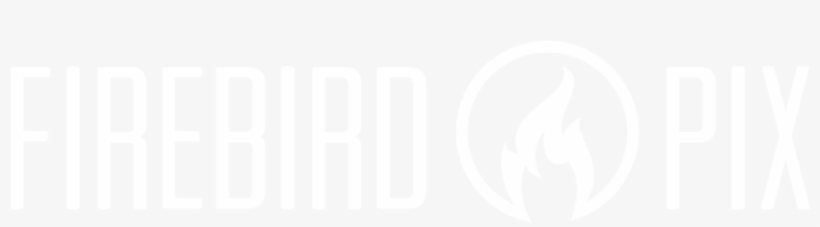 Firebird Pix - Frozen Synapse 2, transparent png download