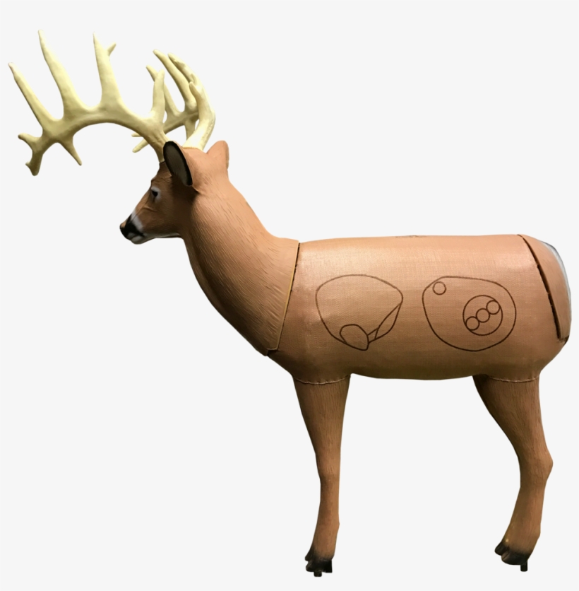 Bionic Buck Iii Field Point Classic 3d Archery Target - Archery, transparent png download