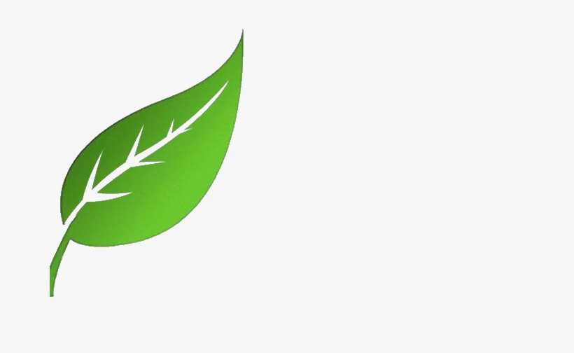 Leaf 04 Free Vector / 4vector - Newleafcic Org, transparent png download