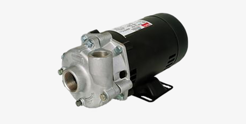Shurflo Stainless Steel Utility Pump 1 Hp 1 Ph 115/208-230, transparent png download