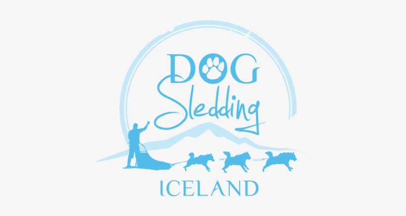 Dog Sledding Iceland, Home Is Where The Dogs Are Dog - Guide To Iceland, transparent png download
