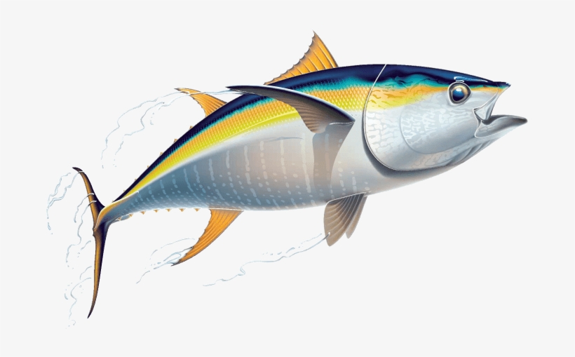 Tuna Clip Art, transparent png download