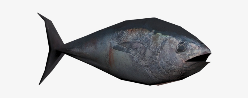 Download Zip Archive - Pomacentridae, transparent png download