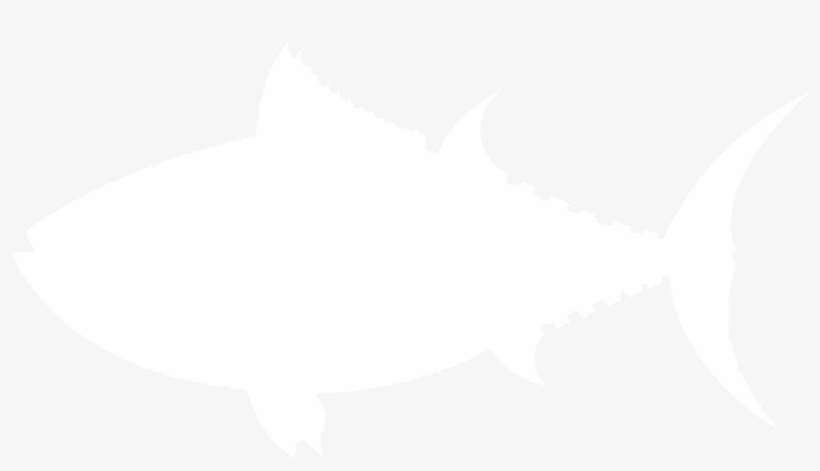 Fish-white - Atlantic Mackerel, transparent png download