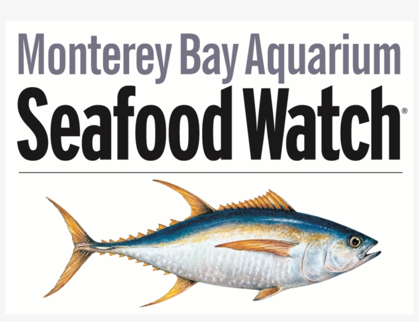 Sfw Type And Tuna-01 Copy - Monterey Bay Seafood Watch Logo, transparent png download