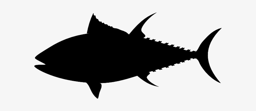 Clip Arts Related To - Tuna Clip Art, transparent png download