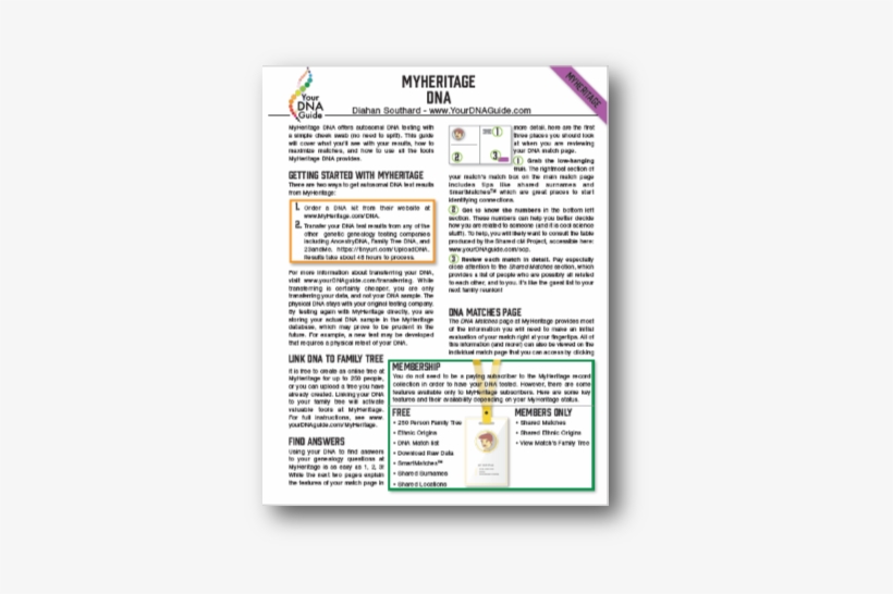 Myheritage Dna - Dna, transparent png download
