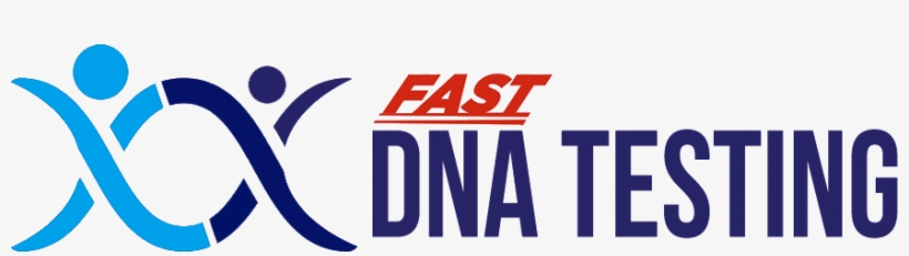 Fast Dna Testing - Making Music Quotes, transparent png download