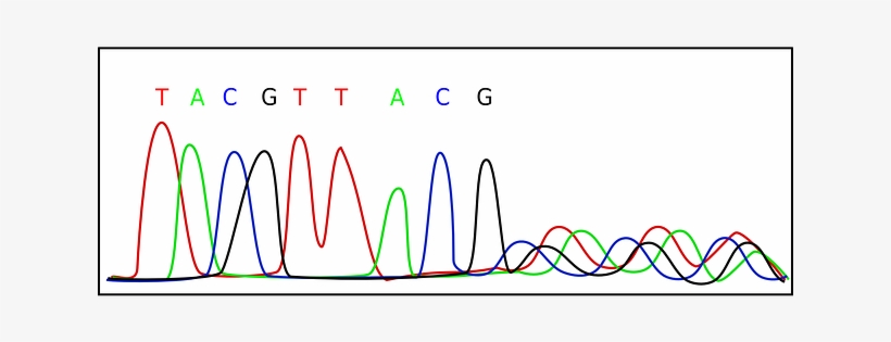 #13 New Dna Sequencing Device - Electropherogram, transparent png download