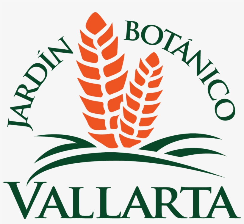 Vallarta Botanical Gardens - Logotipo Vallarta Botanical Gardens, transparent png download
