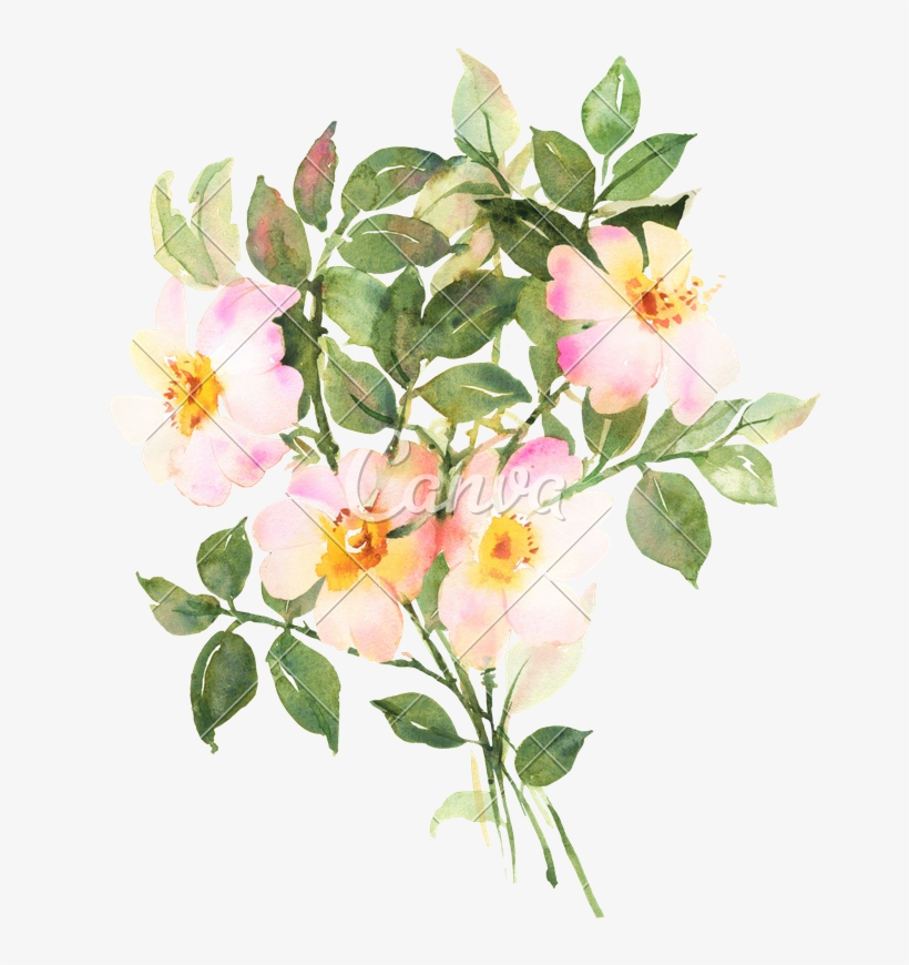 Botanical Watercolor Painting - Watercolor Painting, transparent png download