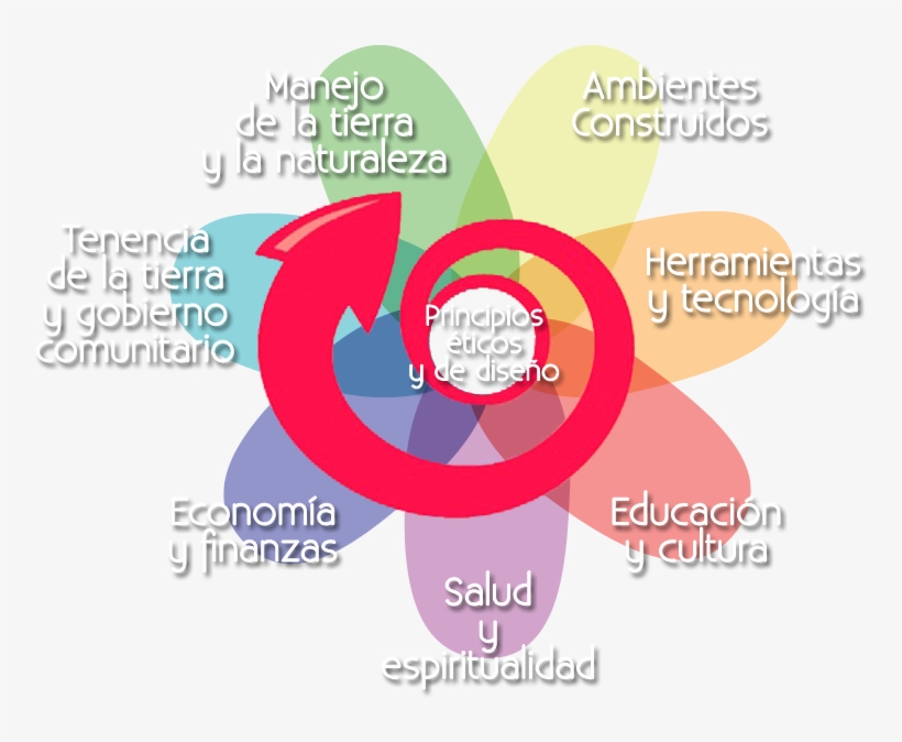 Las Canadas - Forest Fog, transparent png download