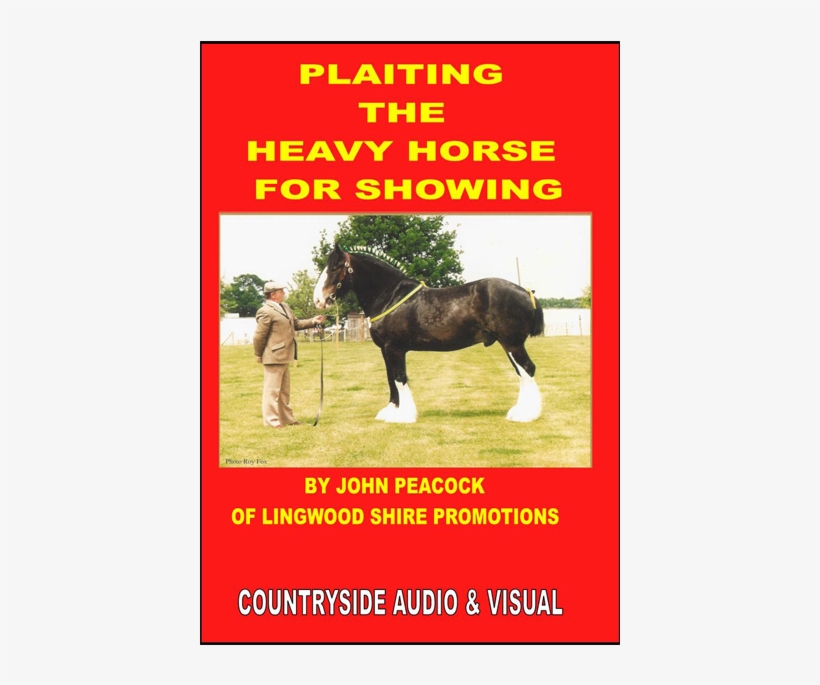 Plaiting The Heavy Horse For Showing - Gi Oh 3d Bonds Beyond, transparent png download