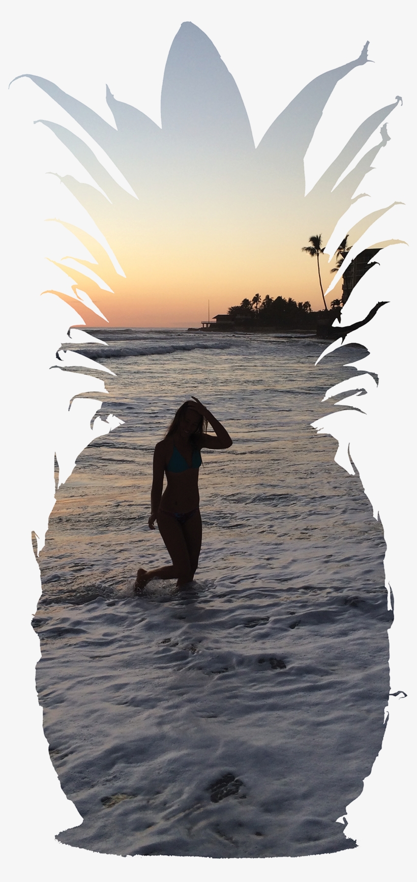 This Objective Of This Project Was To Recreate An Inanimate - Silhouette, transparent png download