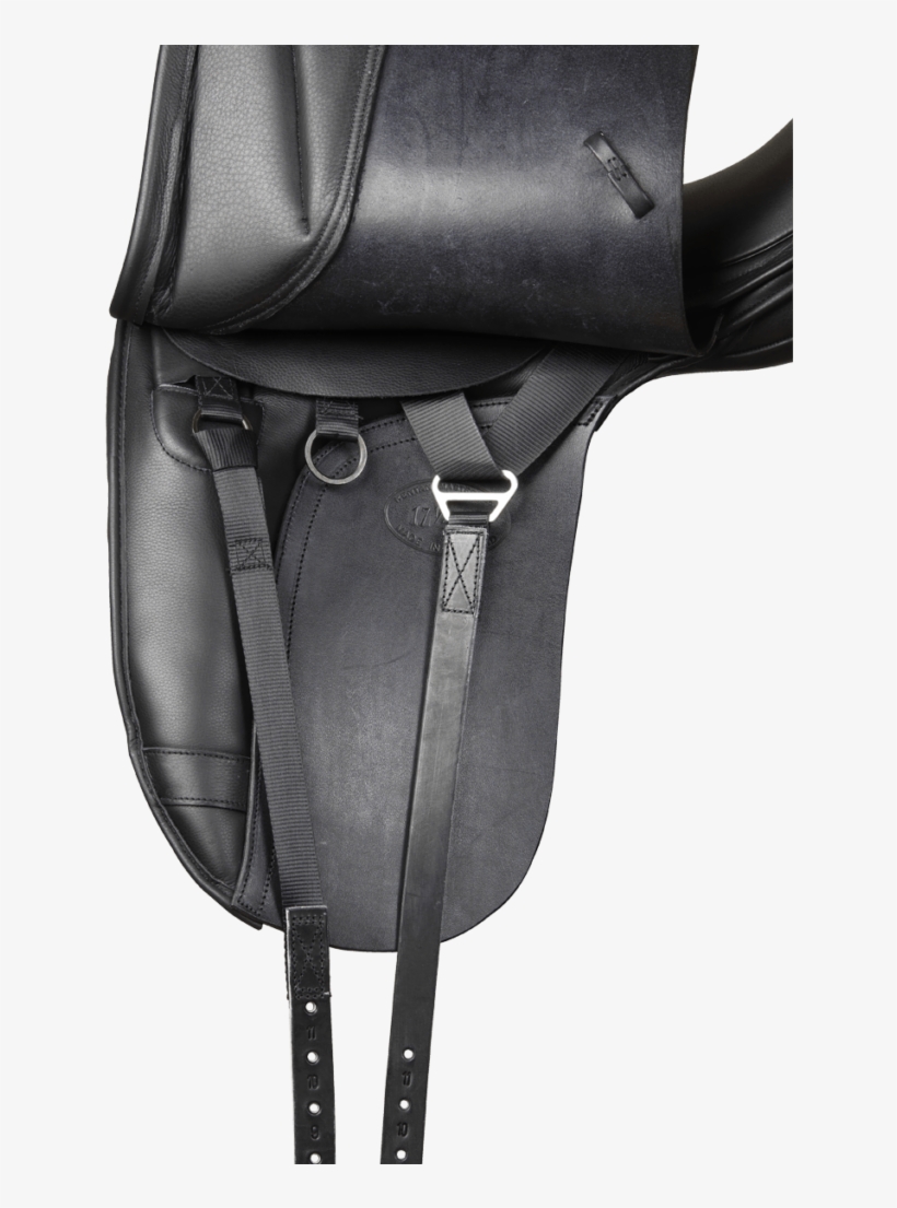 Kent And Masters Hi-wither S Series - Dressage, transparent png download