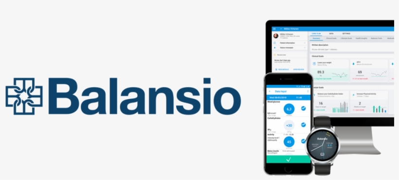 Balnsio-banner - Mobile Phone, transparent png download
