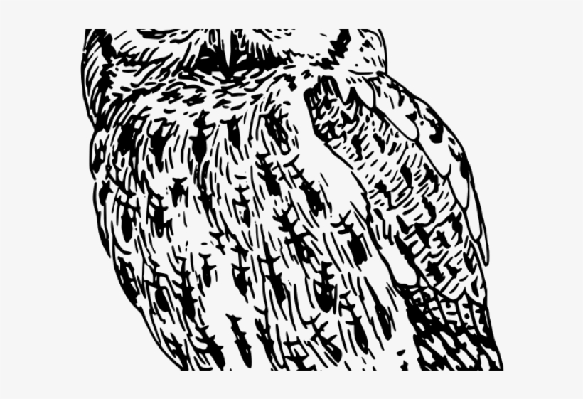 Horned Owl Clipart Flying - Fuck Off Irritable Owl Syndrome, transparent png download