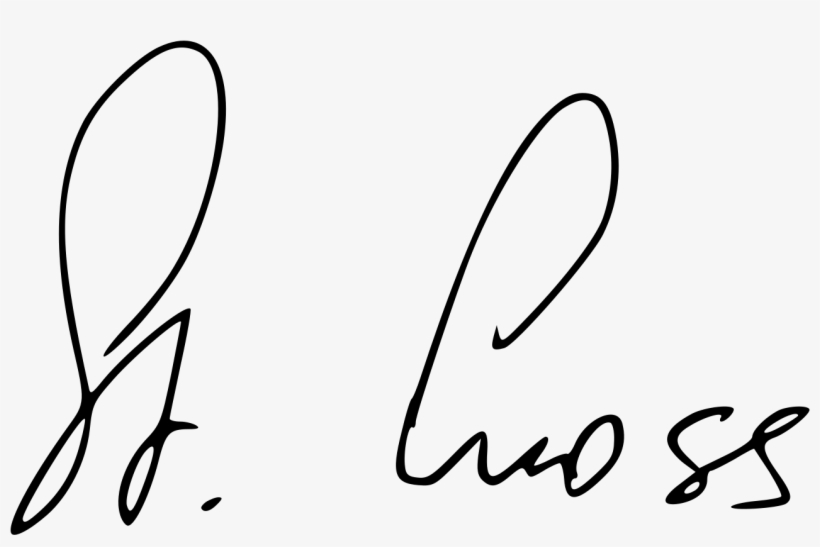 Stanislav Gross Signature - Stanislav Gross, transparent png download