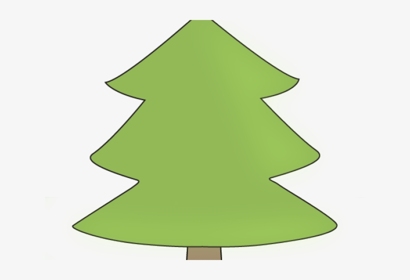Pine, transparent png download
