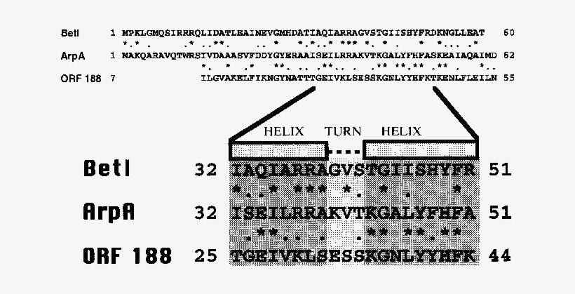 Alignment Of The Helix Turn Helix Sequences Of Arpa, - Number, transparent png download