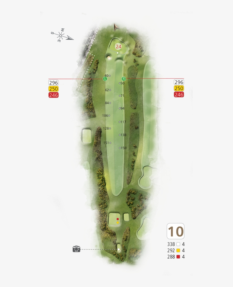 Hole10 - Hedgehog Cactus, transparent png download
