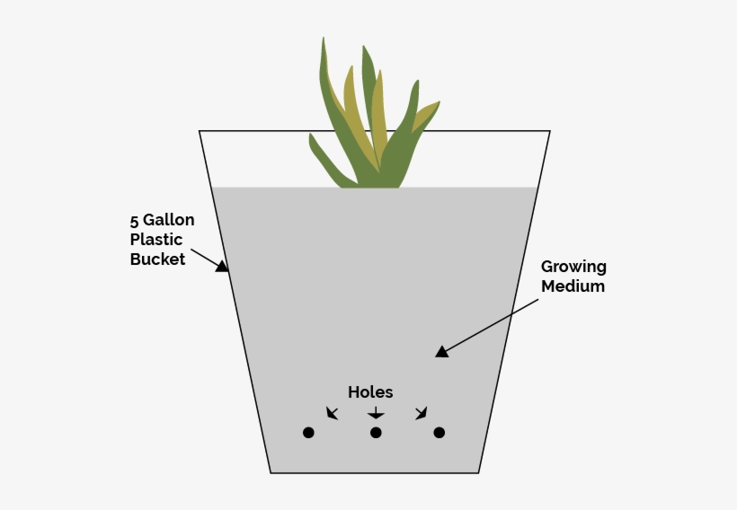 Simple Bucket Hydroponic System - Hydroponics, transparent png download