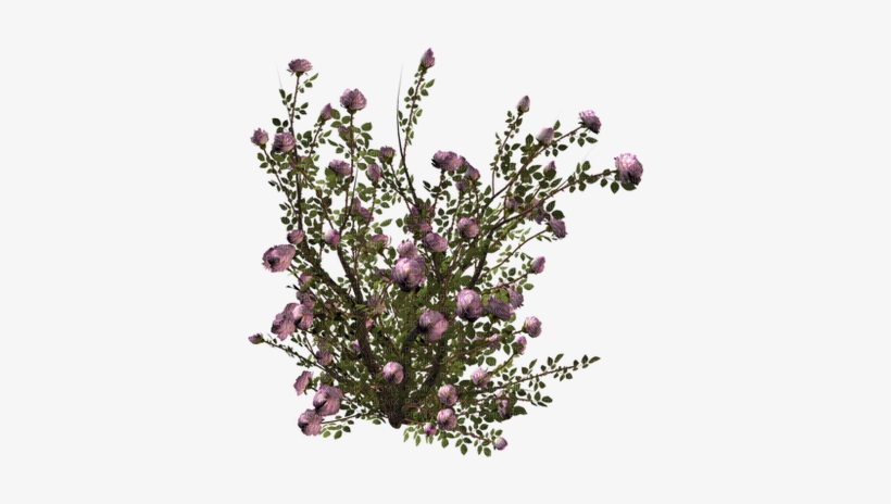 Minou Floral Bush Arbuste Floral Cespuglio Floreale - Artificial Flower, transparent png download