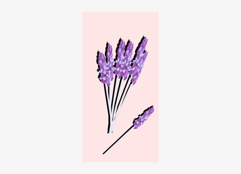 English Lavender Clipart - Make Your Own Flavored Sugar Cubes, transparent png download
