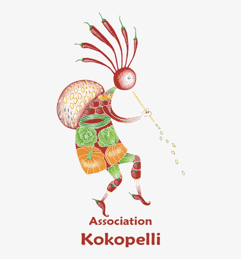 Semences Sans Frontières Une Campagne De Kokopelli - Art Plastique, transparent png download