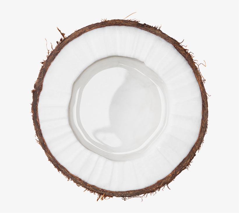 Circle, transparent png download