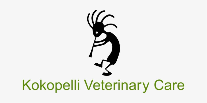 Mobile Veterinarian Serving Edgewood And Surrounding - Data Quality, transparent png download