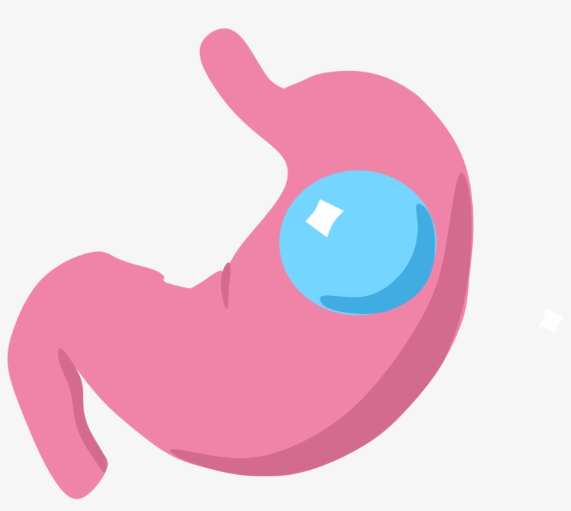 Gastric Balloon Icon - Stomach Icon, transparent png download