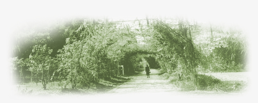 Contact Us - Grove, transparent png download