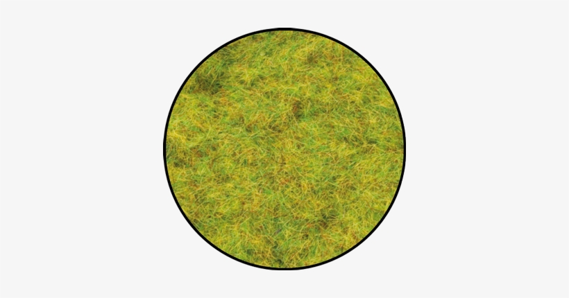 Jungle Bushes - Flames Of War World War Ii Miniatures Game - Cobble, transparent png download