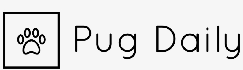 Your Daily Dose Of Pug Related News And Articles About - Pug, transparent png download