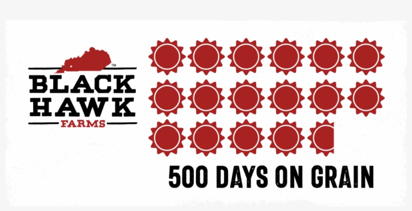 Black Hawk Differences-04 - Bar Model Arrays, transparent png download