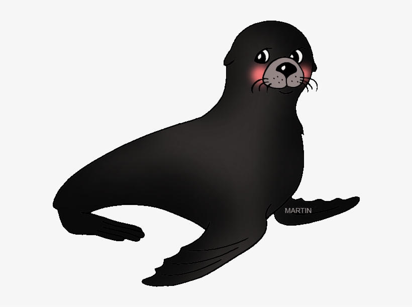 Far North Seal - Seal Images Clip Art, transparent png download