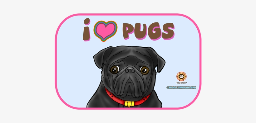 Pug, transparent png download