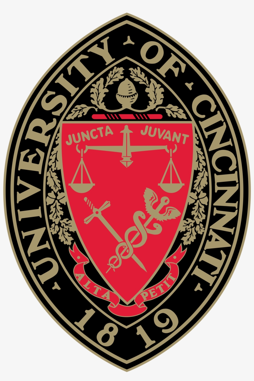 University Of Cincinnati Clermont College - University Of Cincinnati Fan T Shirt, transparent png download