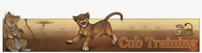 If You Want Your Little Cub To Be The Very Best Lion, - Cougar, transparent png download