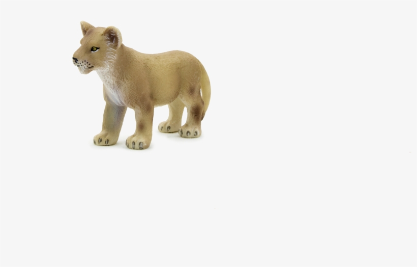 Animal Planet Lion Cub Standing - Animal Planet: Lion Cub Standing, transparent png download