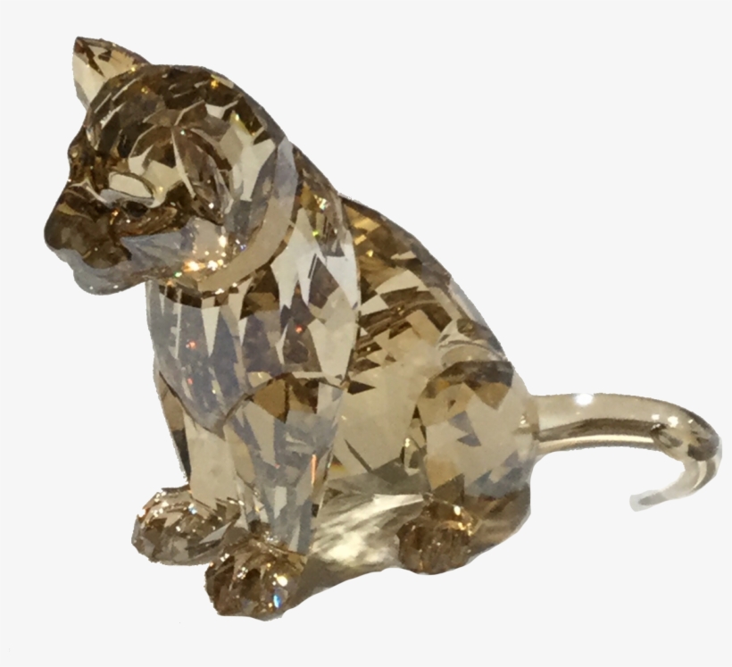 2016 Scs Lion Cub - Boxer, transparent png download