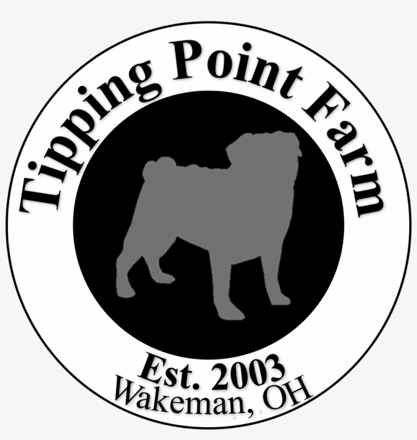 New Britain Ct Seal, transparent png download