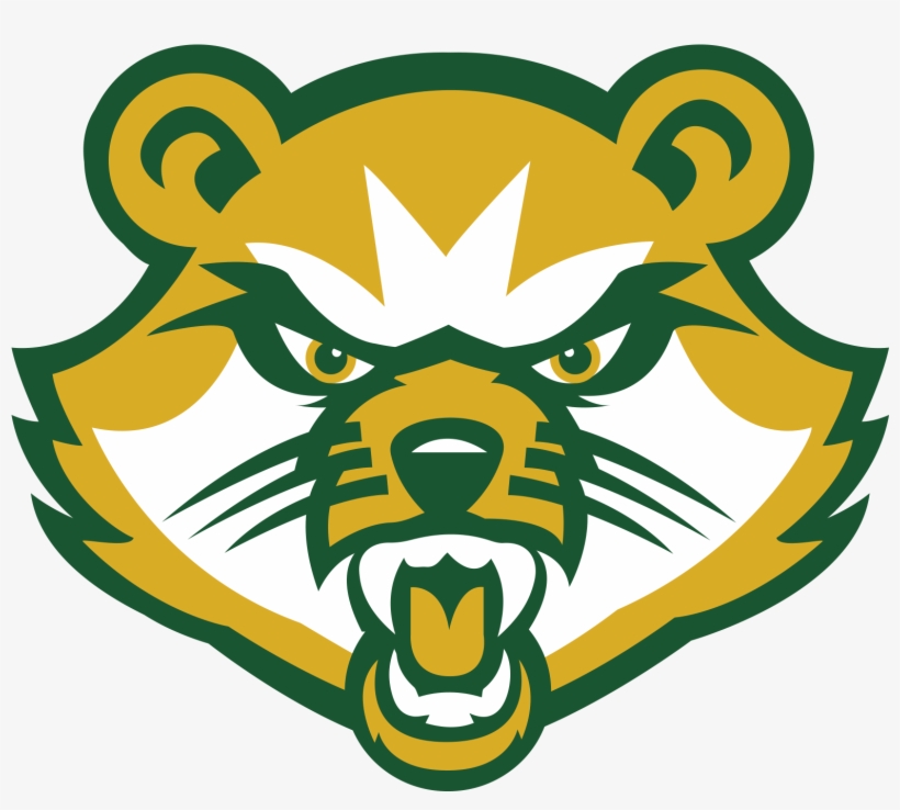 Vincent Baseball Scores, Results, Schedule, Roster - Saint Vincent College Bearcat, transparent png download