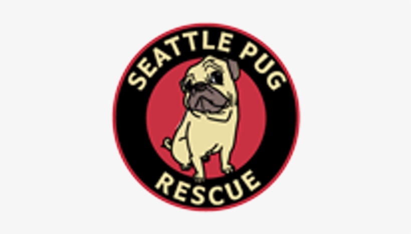 Seattle Pug Rescue - Seattle Pug Rescue Women's Scoop Plus Size T-s, transparent png download