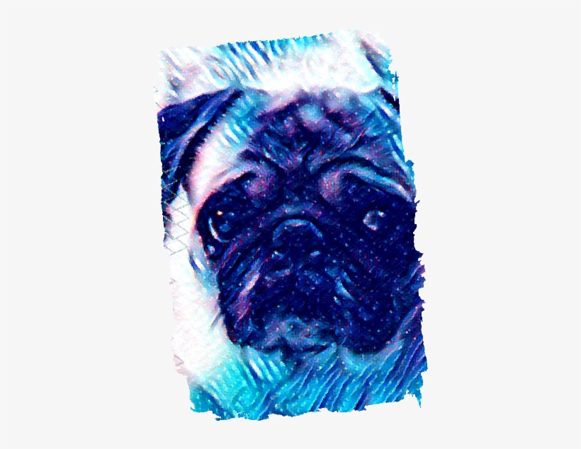 Model Image Graphic Image - Pug, transparent png download