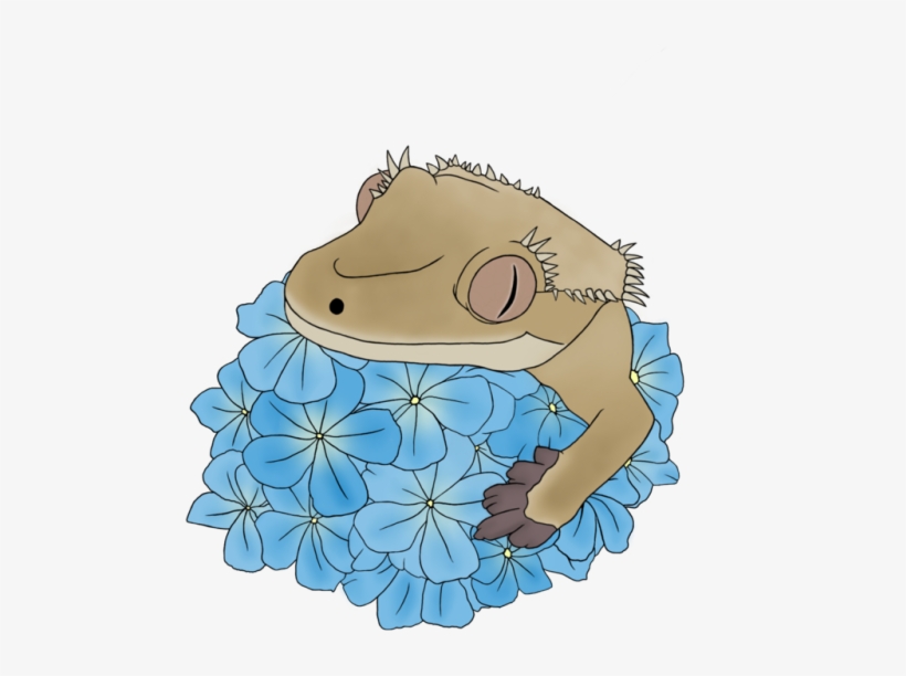 I Got My New Drawing Tablet Recently, And Decided To - Cartoon, transparent png download