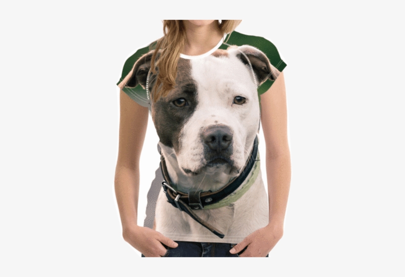 Pit Bull Terrier, transparent png download